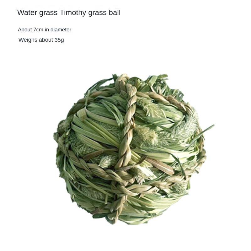 Water Plants Timothy Ball