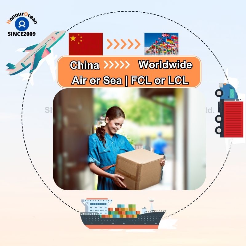 Freight Forwarder China to Belgium Shipping Agent Special Transportation Logistics Service