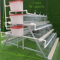 Nouvel équipement d'élevage avicole automatique : Système de poulailler moderne pour poules pondeuses, cage en batterie de type A pour poulets pondeurs, à vendre