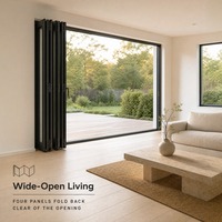 Porte pliante en aluminium bon marché de style accordéon, avec intérieur en acrylique, taille et couleur personnalisables, pour cuisine et salon, portes pliantes en verre