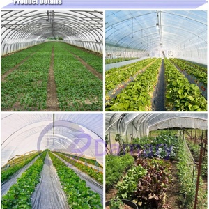 Film de serre écologique grande capacité pour jardin Solarig-Classic-Woven-Greenhouse-Film-Plastic - Product Image 4