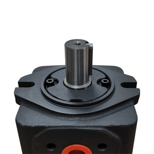 Lf qt סדרה <span class=keywords><strong>20cc</strong></span> 40cc 63cc 30cc 63cc הילוכים משאבת מערכת הילוכים הידראולית שקטה משאבת ציוד פנימי משאבת סרוו פנימי 7-8mpa 0.5hp - Product Image 1