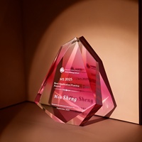 Nouveau trophée en cristal éblouissant haut de gamme pour les cérémonies de récompenses d'entreprise, pour honorer les employés exceptionnels