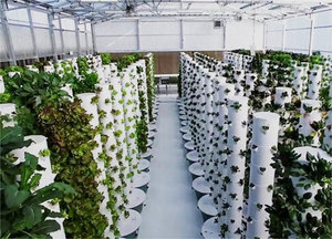 Invernaderos agrícolas grandes Lyine Sistema de torre de aeroponía de agricultura <span class=keywords><strong>vertical</strong></span> Torre de cultivo hidropónico Jardín - Product Image 4