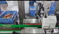 Machine de capsulage automatique, capsuleuse à vis standard, machine de capsulage pour flacons cosmétiques, machine de capsulage pour flacons d'huile
