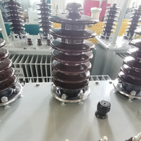 Transformateur d'extérieur fiable Leineng 100 kVA 11 kV à trois phases, bobinage en cuivre anticorrosion pour le programme d'électrification côtière du Gabon