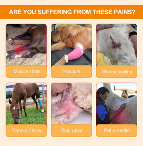 Lastek 인간 동물 의료용 적외선 광선 레이저 통증 완화 관절염 상처 치유 치료기 도매상 - Product Image 6