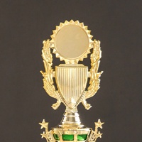 Meilleure Vente : Petit Trophée et Plaque de Sport en Plastique de Haute Qualité avec Médaille et Insigne Doré pour Vainqueurs GD07