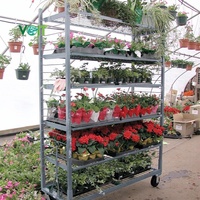 Chariot de jardinage en fil métallique durable, avec séparateur amovible, en acier zingué