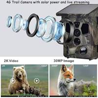 Suntekcam 新款 HC-603Pro 4G 防水 IP65 30MP 追踪相机 2K CMOS 用于狩猎 太阳能充电 免费云直播 电子邮件功能
