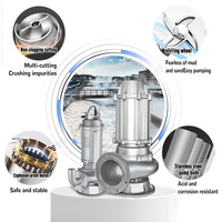 Pompe submersible DEHUIKE 12 pouces 60 CV en acier inoxydable pour le traitement des eaux usées et des boues dans les étangs de crevettes