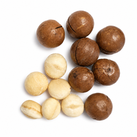 Envío Global, Macadamia, MOQ Bajo, Comienza desde 5 kg, Suministro a Granel, Ejemplos Disponibles, Ingrediente para Helado Cremoso y Crujiente