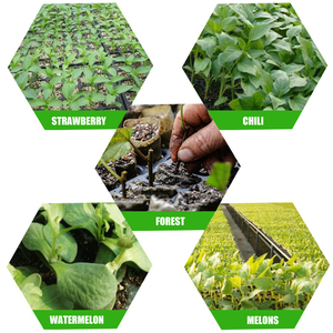 Bandejas de plástico duraderas para plantas de semillero, con agujeros de drenaje, color negro - Product Image 5