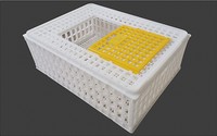 Cage de transport pour volailles en plastique PP jaune 75x55x27 cm, type H, capacité 12-15 poulets, état neuf, boîte de transport pour poulets vivants