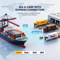 Suivi en temps réel pour la livraison express mondiale : surveillez l'état des colis DHL, FedEx, EMS et UPS