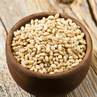 Poudre d'extrait de malt d'orge en gros de qualité alimentaire de haute qualité d'approvisionnement d'usine 99% extrait de malt