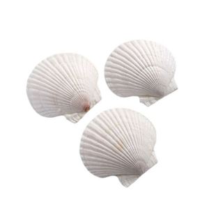 Oshine - Cera de Soja Hecha a Mano con Forma de Extraterrestre, Larga Duración, Regalo de Cumpleaños, Recuerdo de Playa, Serie Océano - Product Image 5