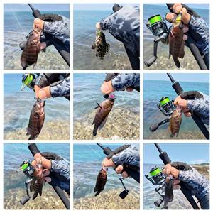 เหยื่อตก<span class=keywords><strong>ปลา</strong></span>แบบลอยน้ำชนิดนิ่ม รูปทรง T-Tail ยี่ห้อ FUN ขนาด 20 ชิ้น/กล่อง สำหรับตก<span class=keywords><strong>ปลา</strong></span>ในน้ำจืดและน้ำเค็ม - Product Image 5