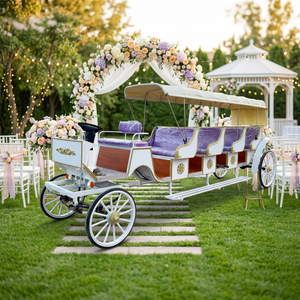 Calèche de Mariage Classique Européenne Économique / Calèche Citrouille Royale / Calèche Électrique à Deux Rangs pour Visites Touristiques 4-6 Personnes - Product Image 1
