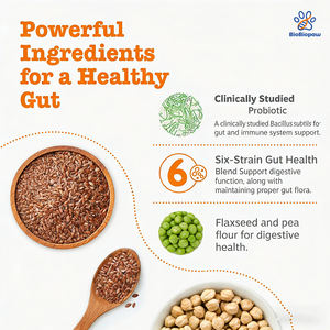 कुत्तों के लिए ओम/ओडम प्रोबायोटिक्स, आंत के लिए पाचन एंजाइमों के लिए पाचन एंजाइमों के लिए ओम/ओडम प्रोबायोटिक्स - Product Image 3