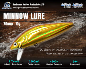 Señuelo de Pesca MISTER LURE de 70 mm y 10 g, Diseño de Escamas de Pez, Color Personalizable, Señuelo Duro de Plástico, Señuelo de Pesca de Plástico - Product Image 4