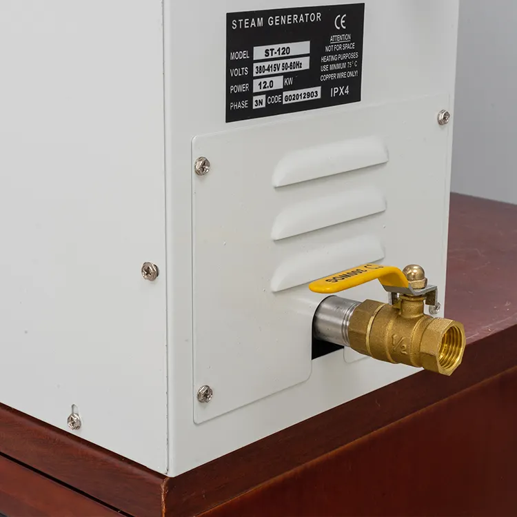 Generador de vapor de sauna de vapor húmedo de bajo precio
