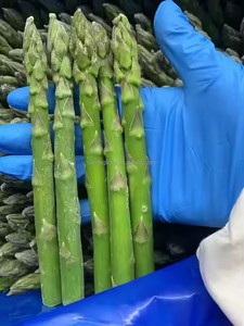 2025 tươi hữu cơ đông lạnh Măng Tây Xanh khối mùa xuân hấp rau <span class=keywords><strong>iqf</strong></span> giấy chứng nhận dải khoai môn tỏi lát để bán - Product Image 2