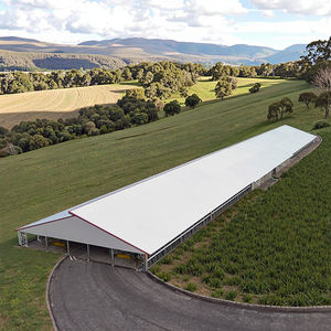 Rifugio per Bestiame a Basso Costo, Stalla per Allevamento Lattiero-Caseario, Struttura in Acciaio per Bovini - Product Image 3