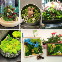 Hoogwaardig geconserveerd rendiermos, multicolor, gestabiliseerd lichenmos voor bruiloftdecoratie, DIY mos-kunst, glazen terrarium