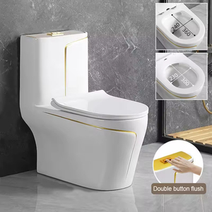 WC monobloc moderne de luxe en céramique avec design ligne dorée, sanitaires de salle de bain, toilettes intelligentes DT - Product Image 3