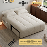 Canapé-lit moderne double usage, inclinable, extensible et pliable, multifonctionnel avec rangement, en métal et tissu, idéal pour petits salons et hôpitaux
