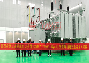 Transformador de Potencia Trifásico de 40 MVA, 161 kV a 22 kV, <span class=keywords><strong>2</strong></span> Devanados, con OLTC, Baja Pérdida, Suministro de Fábrica YAWEI - Product Image 6
