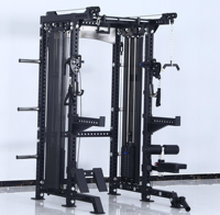 Système d'entraînement de force LONEXFIT Commercial tout-en-un : Rack de musculation et double machine Smith