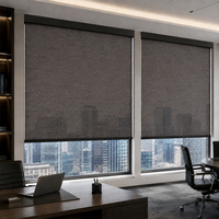 Ilvia Custom Wholesale Tuya Smart Motorized Blinds Electric Roller Blinds.