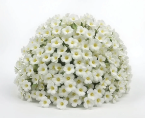 Bouquet de fleurs artificielles en soie au toucher réel, <span class=keywords><strong>iris</strong></span> japonica papillon, pour mariage, <span class=keywords><strong>d</strong></span>écoration de la maison et de fêtes - Product Image 4