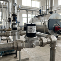 Vanne d'arrêt solénoïde DKV pour GPL, propane, gaz naturel, 2 pouces DN50, normalement fermée, réinitialisation automatique, 12V 24V 110V 220V pour la sécurité