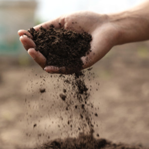 Libération lente des lignes de production chinoises Engrais organique en poudre de <span class=keywords><strong>fumier</strong></span> de vache pour jardin et légumes - Product Image 3