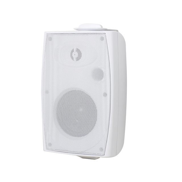 High-Fidelity Wall-Mounted Speaker with Stylish Black/White Design for Conference Rooms & Premium Audio Applications