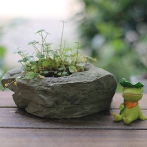 Personnalité Creative Divers Styles Ciment Pierre Forme Micro-Paysage Succulentes Bonsaï Planteur Pots De Fleurs pour Jardin Déco - Product Image 2