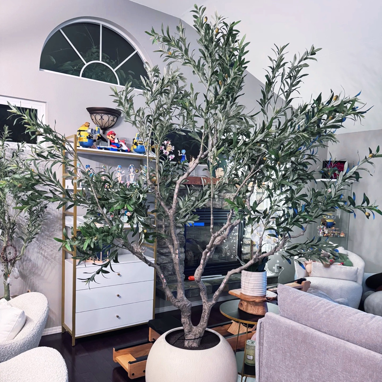 260cm olive tree with pot