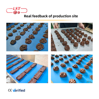 LST Nieuwe 25-35 keer/min Chocolade Fruit & Noten Cluster Machine PLC Besturing Hoge Efficiëntie Chocoladeproductie Apparatuur