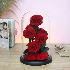 Rosa Preservada Gigante en Forma de Corazón Clásica con Luz LED en Cúpula de Cristal, Regalo de Flor Eterna para el Día de San Valentín, Decoración para el Hogar y Bodas - Product Image 5