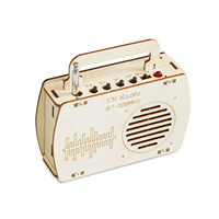 DIY RADIO ALTAVOZ Experimento eléctrico Kit Kid 3D Madera Ensamblar Ciencia Ingeniería Stem Juguetes