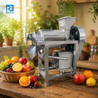 Industriële RVS 304 fruit- en groentesapverwerkingslijn koudpers sapcentrifuge machine voor appels en sinaasappels
