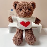 Ours en peluche de haute qualité avec pull en tricot en forme de cœur - Doublure en maille anti-stress pour anniversaire, personnalisable OEM/ODM