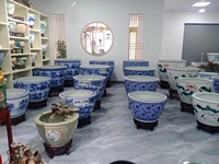 Conque émaillée verte océan céramique Cactus Pot de fleur Pot chair conteneur planteur pour la décoration de la maison