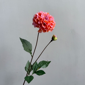 YOPIN-2813 Fleurs de <span class=keywords><strong>Dahlia</strong></span> artificielles en latex de haute qualité à toucher réaliste, rose vif, pour décoration de mariage - Product Image 4