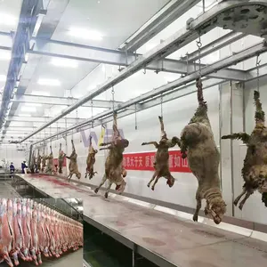 Son tasarım 100 200 500 günde kesim hattı koyun mezbaha abattoir ekipmanları için keçi kesim makinesi