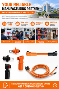 Faisceaux <span class=keywords><strong>de</strong></span> câblage en gros directement <span class=keywords><strong>de</strong></span> <span class=keywords><strong>l</strong></span>'usine : fils, câbles et assemblages <span class=keywords><strong>de</strong></span> câbles, avec 30 ans d'<span class=keywords><strong>expérience</strong></span> - Product Image 6