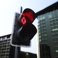 Feu de signalisation pour passage piéton avec LED rouge et verte de 300 mm pour la sécurité des piétons